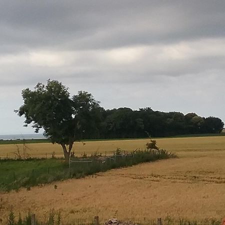 Cottage B2 Bazenville 外观 照片